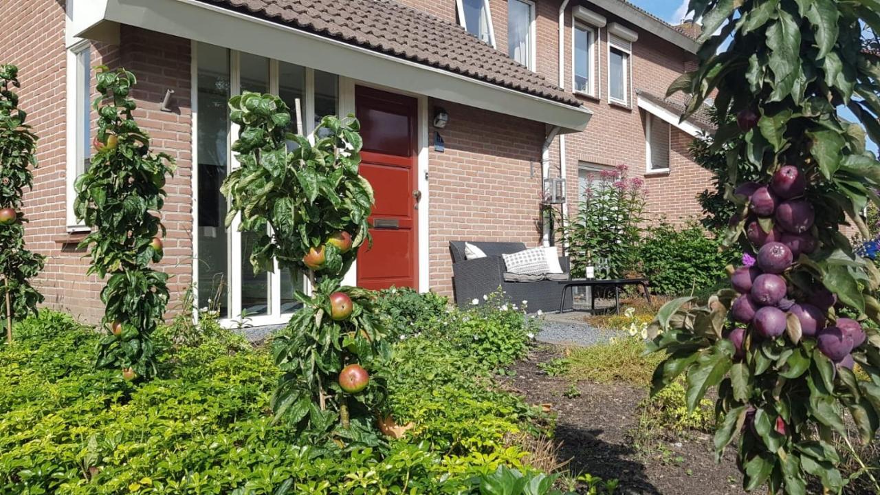 Logeren Bij Grea Bed & Breakfast Zwartsluis Dış mekan fotoğraf